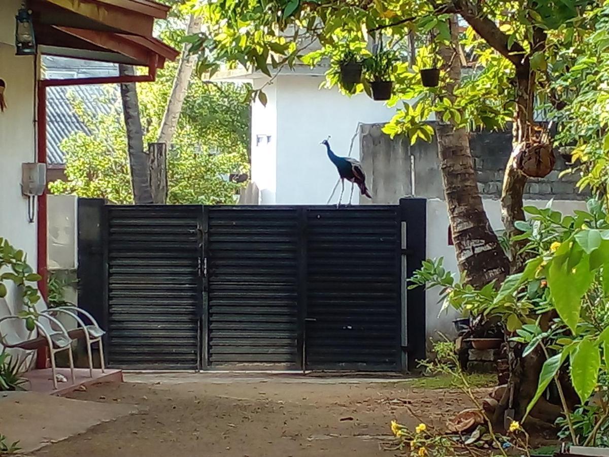 4Ty Two Homestay Galle Exterior photo