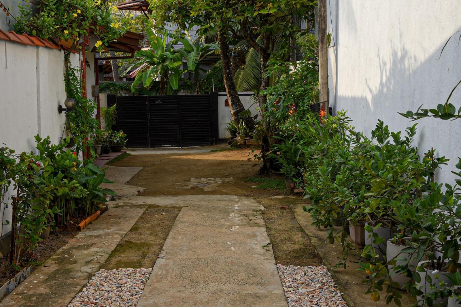 4Ty Two Homestay Galle Exterior photo